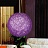 Amazing ball Фиолетовый фото 2